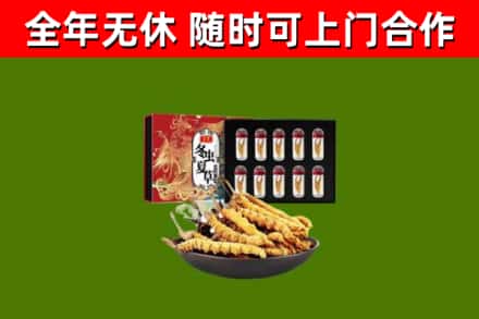 成都回收冬虫夏草价格